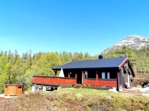 Mountain cabin with a view and hot tub